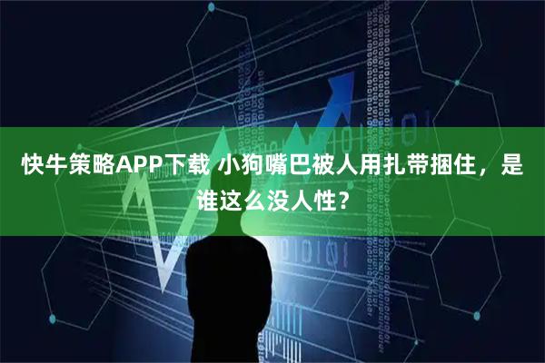 快牛策略APP下载 小狗嘴巴被人用扎带捆住,是谁这么没人性?