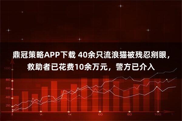 鼎冠策略APP下载 40余只流浪猫被残忍剜眼,救助者已花费10余万元,警方已介入