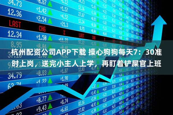 杭州配资公司APP下载 操心狗狗每天7:30准时上岗,送完小主人上学,再盯着铲屎官上班