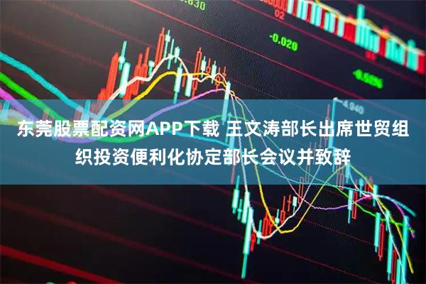 东莞股票配资网APP下载 王文涛部长出席世贸组织投资便利化协定部长会议并致辞