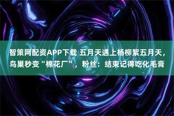 智策网配资APP下载 五月天遇上杨柳絮五月天，鸟巢秒变“棉花厂”，粉丝：结束记得吃化毛膏
